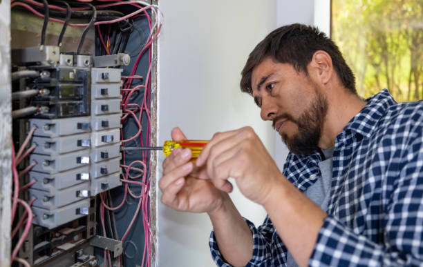 Best Electric Panel Repair  in Rochester, MI